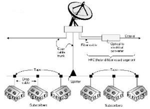 CATV Networks CATV Networks